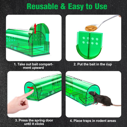 Humane Mouse Trap